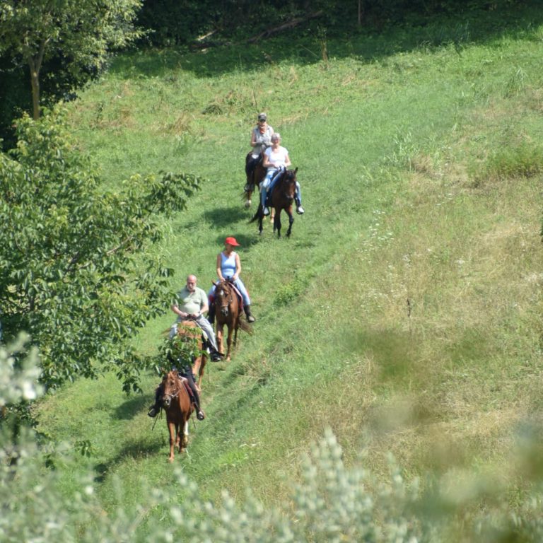 adventure-trail